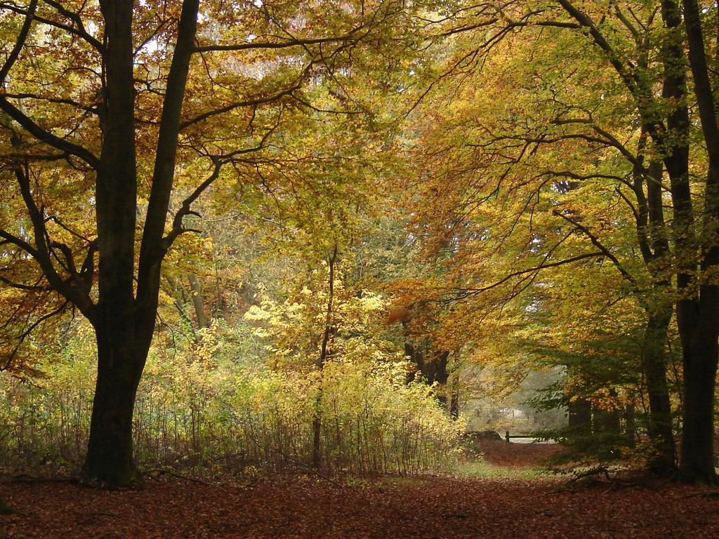 Hof van Putten Hotel Buitenkant foto